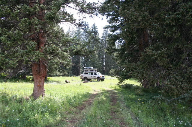 Camping Spot Grand Mesa